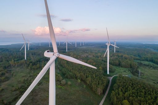 a picture of a wind turbine field