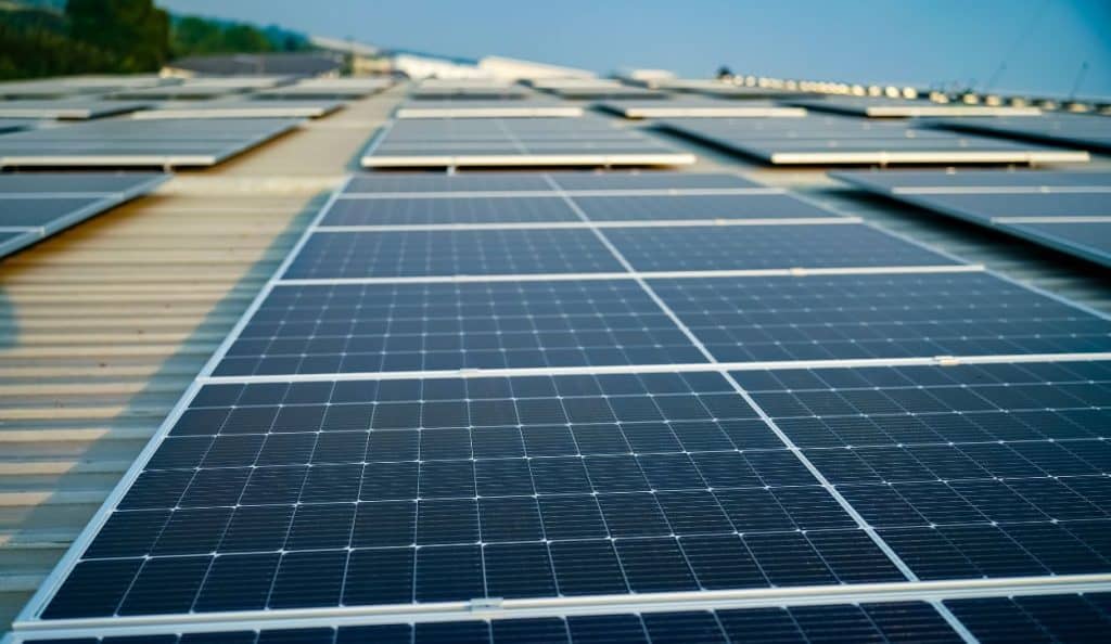 Rows of rooftop solar panels in the sun